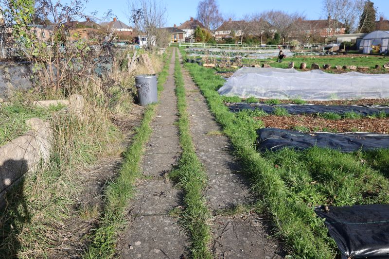 1 of 6 - Market garden long path - Before